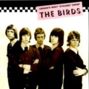 Birds image