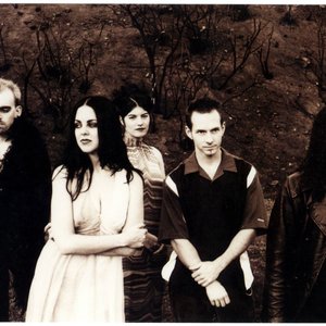 Darling Violetta image