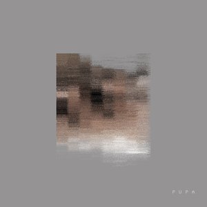 Drosophelia image