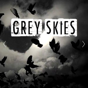 Grey Skies image