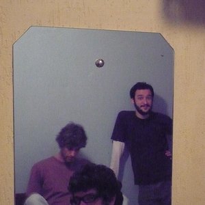 Pelvs image
