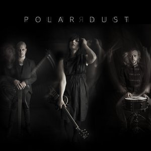 Polar Dust image