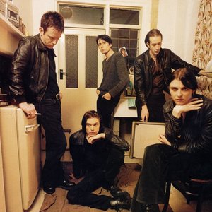 Suede image