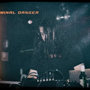 Terminal Danger image