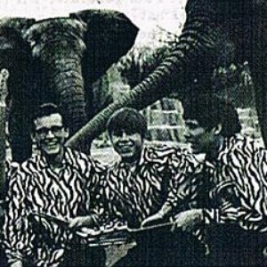 The Zoo image