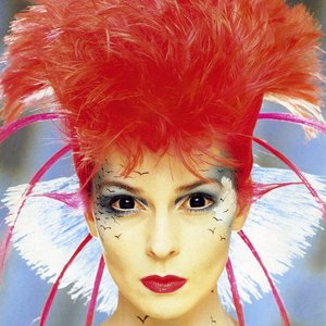 Toyah image