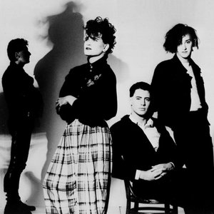Virgin Prunes image