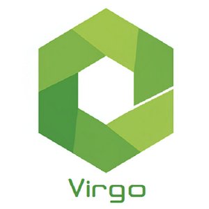 Virgo image