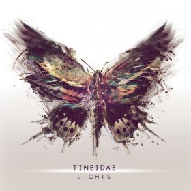 Tineidae - Lights (2012)