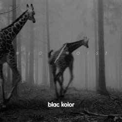 Blac Kolor - Wide Noise (2014)