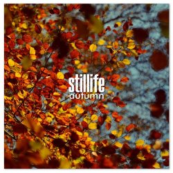 Stillife - Autumn (2014) [Single]