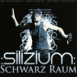 Silizium - Schwarz Raum (2011)