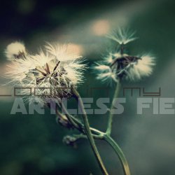Her Blood In My Veins - Artless Fields (2015) [EP]