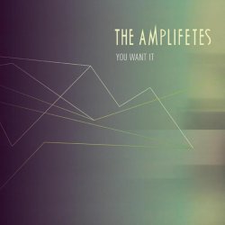 The Amplifetes - You Want It (2013) [Single]