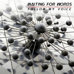 Waiting For Words - Follow My Voice (2011) [Single]