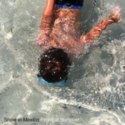 Snow In Mexico - Prodigal Summer (2012) [EP]