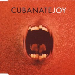 Cubanate - Joy (1996) [Single]