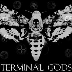 Terminal Gods - Lessons In Fire (2013) [Single]