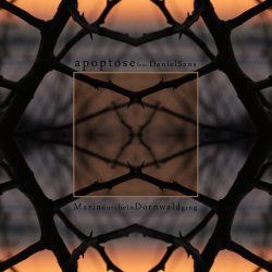 Apoptose - Maria Durch Ein Dornwald Ging (2016) [Single]