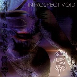 Introspect Void - Reality Is Defective (2006)