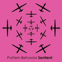 Pattern Behavior - Sentient (2014)