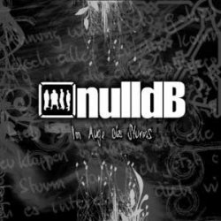 Nulldb - Im Auge Des Sturms (2009)