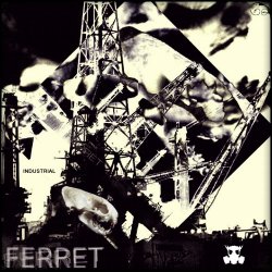 Industrial Ferret - My Kingdom (2017) [Single]