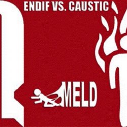 Endif vs. Caustic - Meld (2005)
