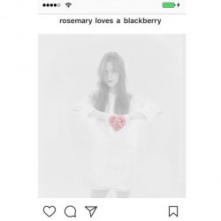 Rosemary Loves A Blackberry - ❤ (2017)