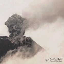 The Flashbulb - Piety Of Ashes (2017)