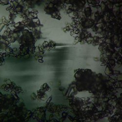 Aberva - Lisgencenive (2017) [EP]