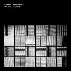Somatic Responses - Pattern Seeking (2017)