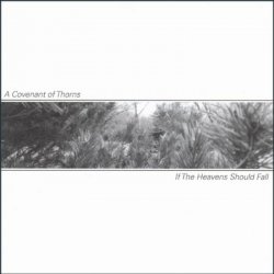 A Covenant Of Thorns - If The Heavens Should Fall (2004)