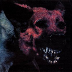 Protomartyr - Under Cover Of Official Right (2014)