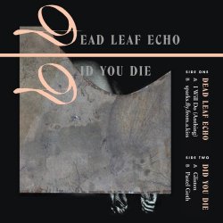 Dead Leaf Echo & Did You Die - Dead Leaf Echo & Did You Die (2016) [Split]