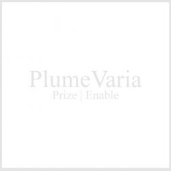 Plume Varia - Prize | Enable (2013) [Single]