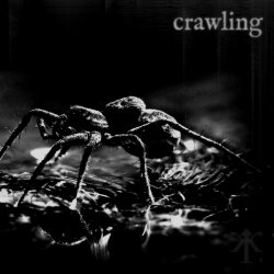Impurfekt - Crawling (2013)