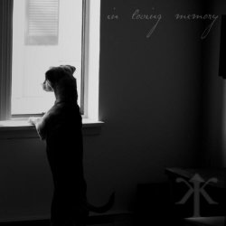 Impurfekt - In Loving Memory (2012)