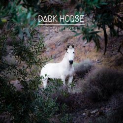 Biggi Hilmars - Dark Horse (2017)