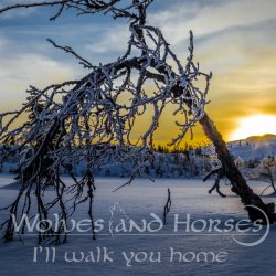 Wolves And Horses - I'll Walk You Home (2016) [Single]