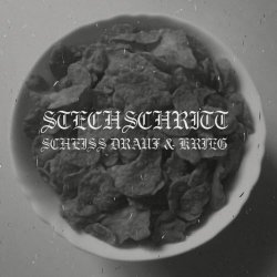 Stechschritt - Scheiss Drauf / Krieg (2017) [Single]
