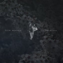 Slow Meadow - Lachrymosia (2016) [Single]