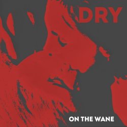 On The Wane - Dry (2014)