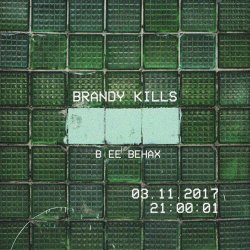 Brandy Kills - В Её Венах (2017)