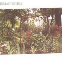 Human Tetris - Things I Don't Need (2010) [Single]