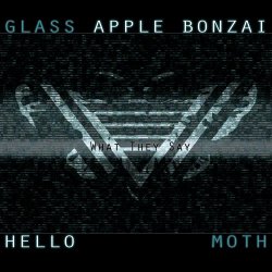 Glass Apple Bonzai - What They Say (feat. Hello Moth) (2016) [Single]
