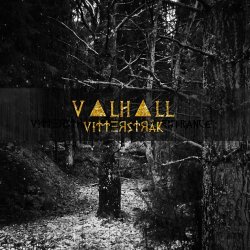 V▲LH▲LL - Vi††ΞЯS†ЯåK (2015) [Single]
