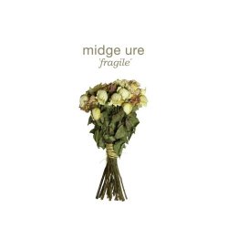 Midge Ure - Fragile (2014)