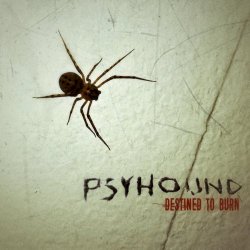 Psyhound - Destined To Burn (2017) [Single]