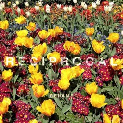Rename - Reciprocal (2017) [Single]